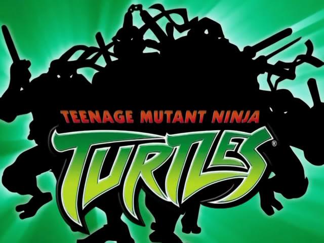 Vintage 2003 Teenage Mutant Ninja Turtles TMNT hat