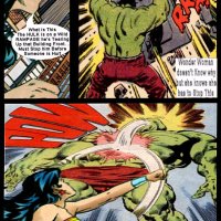 Wonder Woman vs Hulk